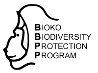 Bioko Logo1.gif