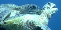 200803041458.jpg