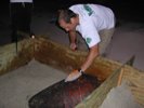 DSCN6123.JPG