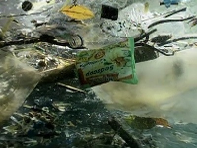 Garbage Patch