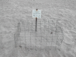 Nest