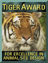 Tigaward8