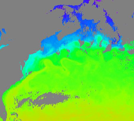 sst24_2005_305.gif