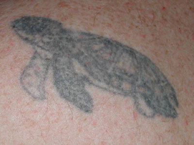 turtle_tattoo.jpg