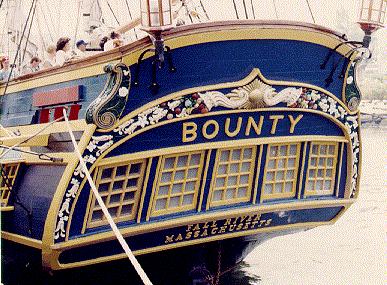 bounty.jpg