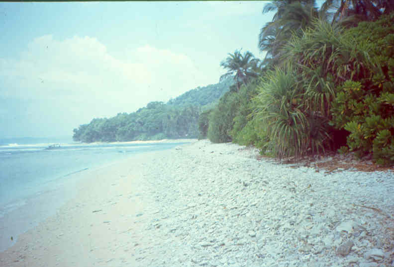 an1.jpg