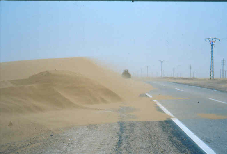sahara.jpg