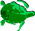 seaturtle.org