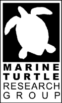 MTRG Logo